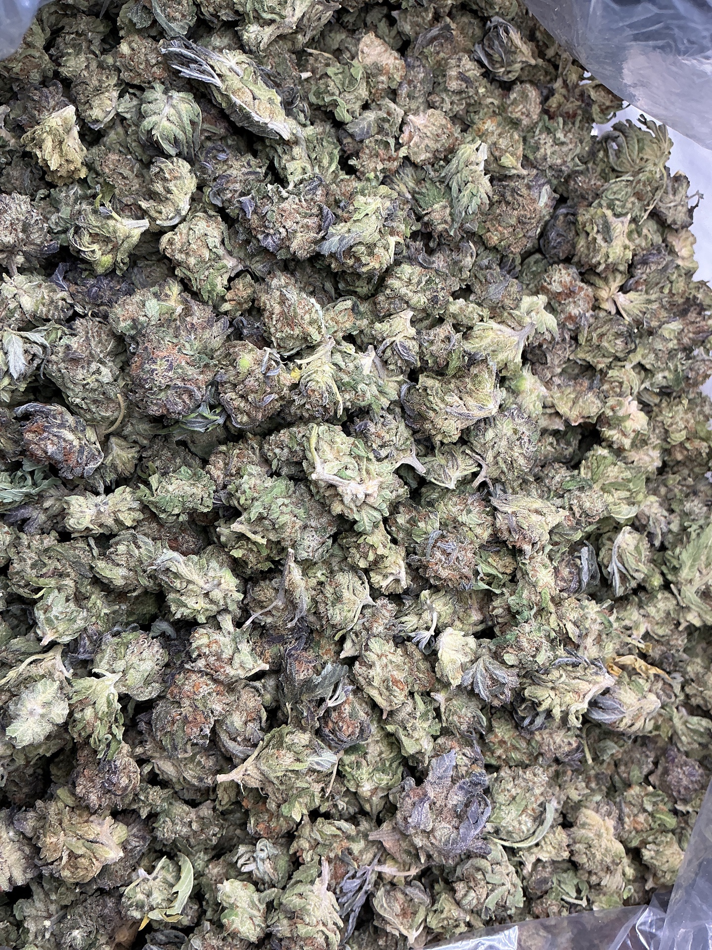 Lemon Gas Mask THCa Smalls (Budget) / 7 Grams (1/4)